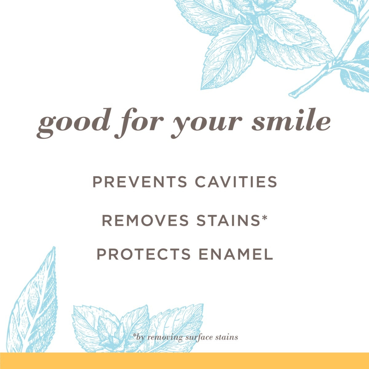 Extra White Fluoride Natural Toothpaste Mountain Mint Iq