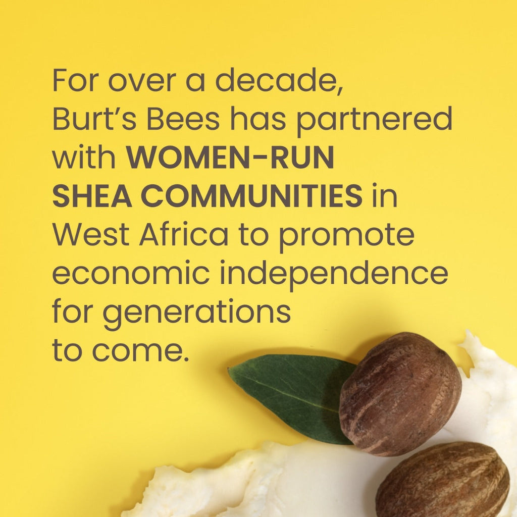 Shea + Coconut Oil Moisturizing Lip Balm Qo